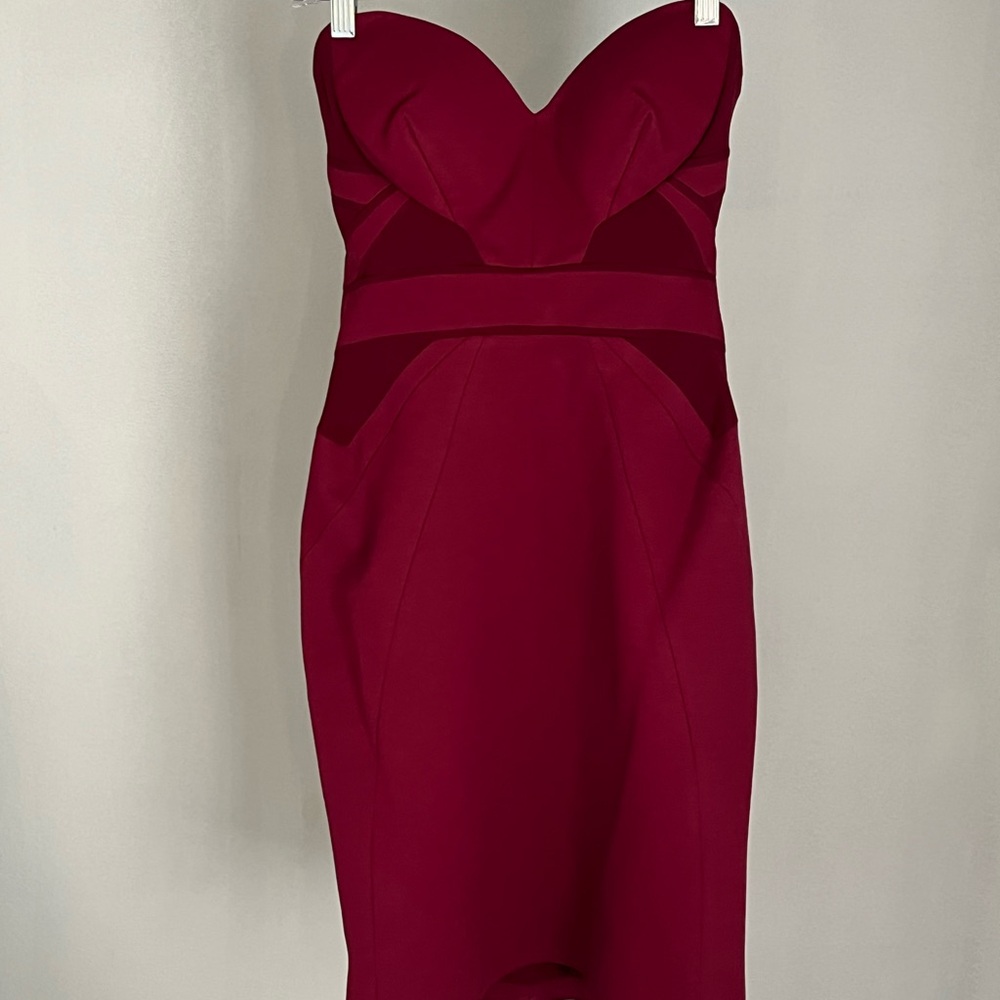 Zac Posen Strapless Wine Dress